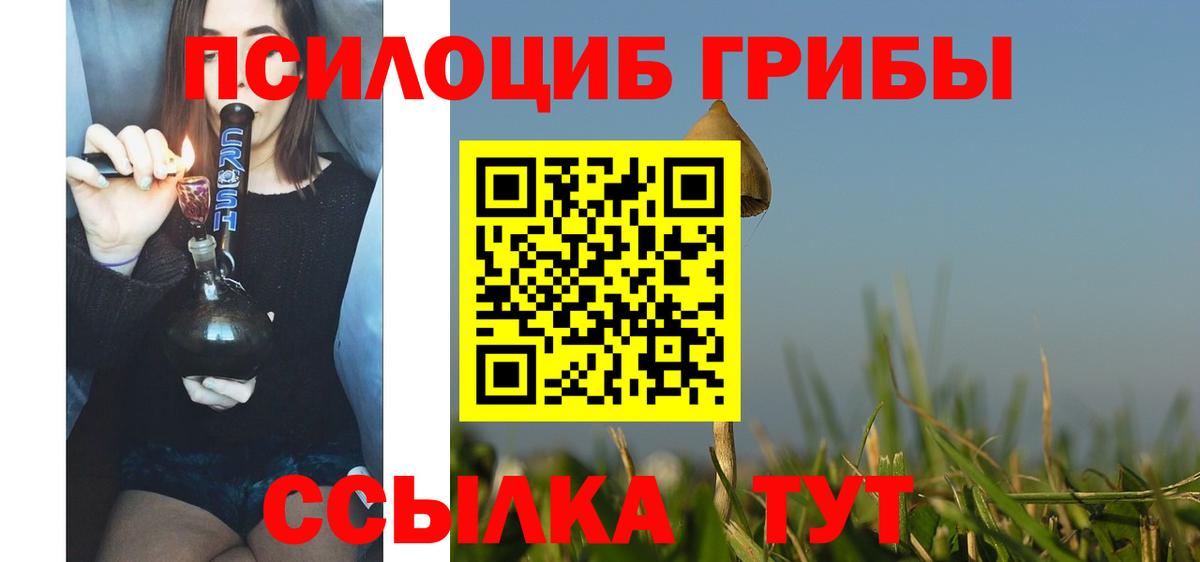 продажа наркотиков  Вход с VPN  Россия  Псилоцибиновые грибы мухоморы  Псилоцибиновые грибы GOLDEN TEACHER 